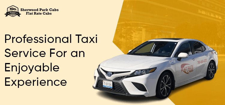 Reasons Behind Hiring Professional Taxi Services In Sherwood Park