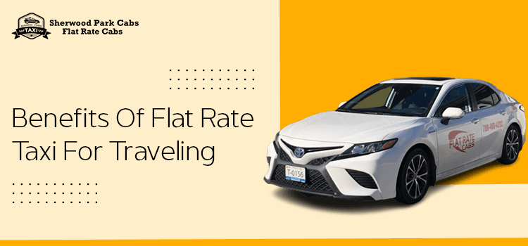Which is the more affordable option owning a car or hiring a taxi?`